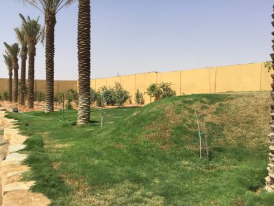 PHOTO-2025-11-22-12-19-17 2